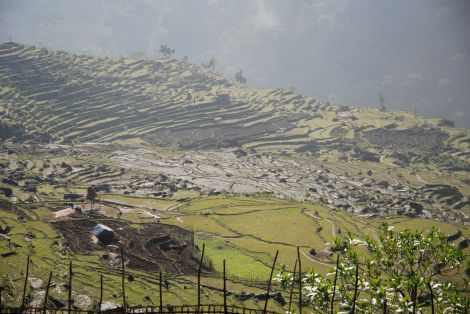 "A shot of typical Nepali terraced hillside and a house in rural Nepal. It shows the isolation of rural Nepal, the extreme vulnerability to quake damage and landslides." --courtesy of Alden Towler
