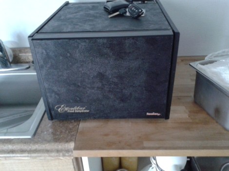 Best Jersey Shore Restaurants. Dining in Long Beach Island, New Jersey. Black Eyed Susans.