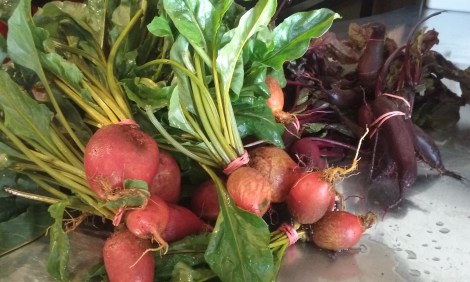 Beets from Z Food Farm. 