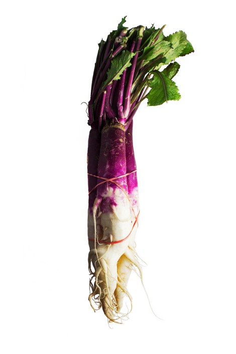 Hinona kabu turnips from Z Food Farm. by Jacki Philleo. 